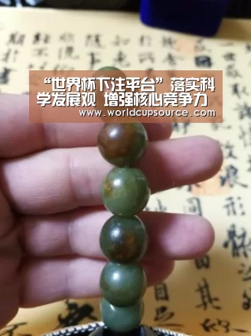 “世界杯下注平台”落实科学发展观 增强核心竞争力 努力实现全面协调可持续发展(图3) 世界杯投注网