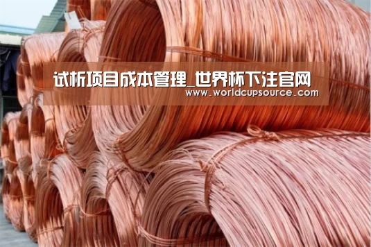 试析项目成本管理_世界杯下注官网(图1) 世界杯下注