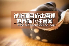 试析项目成本管理_世界杯下注官网(图3) 世界杯下注