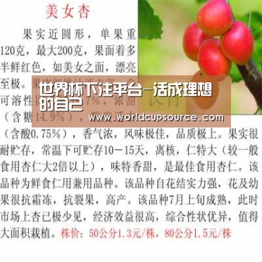 世界杯下注平台-活成理想的自己(图4) 世界杯投注网