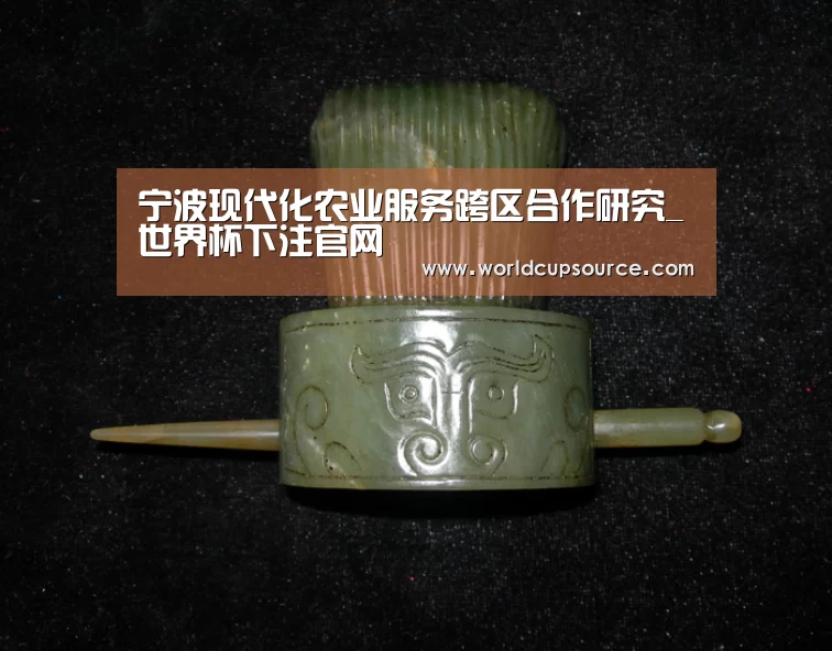 宁波现代化农业服务跨区合作研究_世界杯下注官网(图2) 世界杯下注官网