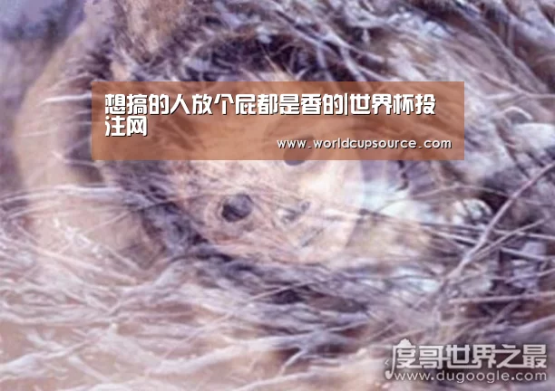 想搞的人放个屁都是香的|世界杯投注网(图1) 世界杯投注网