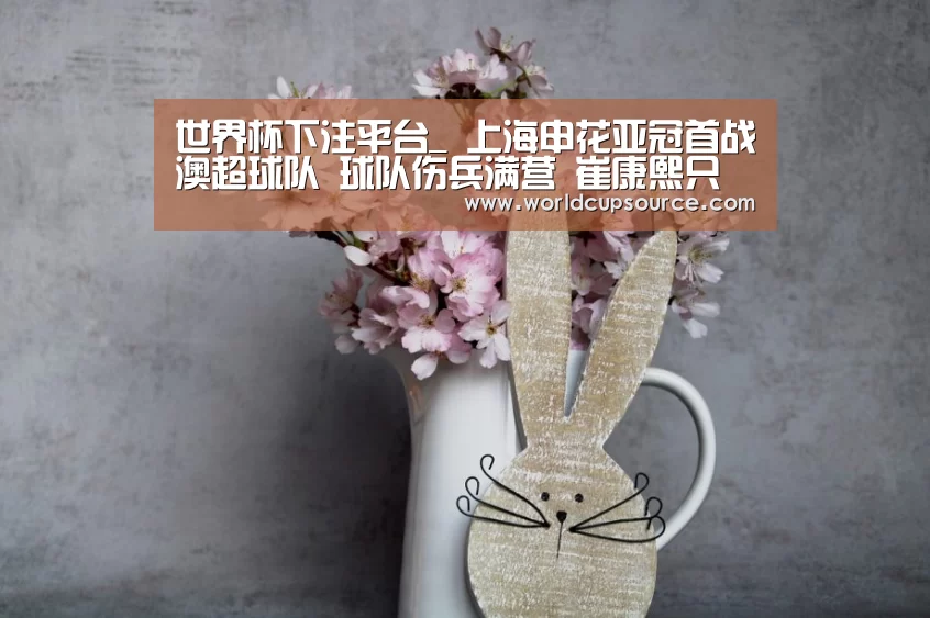 世界杯下注平台