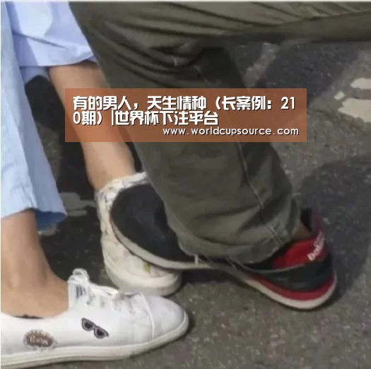 世界杯下注平台