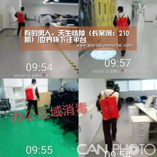 世界杯投注网