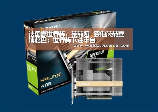 法国赢世界杯,茱莉娅-罗伯茨恭喜博格巴:世界杯下注平台(图1) 世界杯下注官网