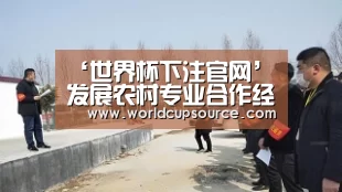 ‘世界杯下注官网’发展农村专业合作经济组织 促进广西农垦农业产业化经营(图1) 世界杯下注平台