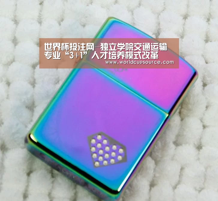 世界杯投注网-独立学院交通运输专业“3+1”人才培养模式改革(图1) 世界杯下注官网