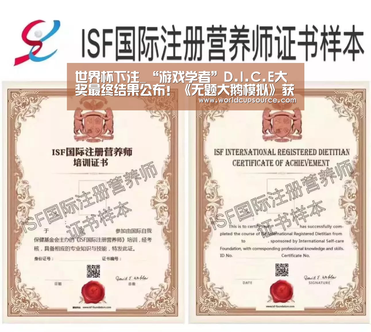 世界杯下注_“游戏学者”D.I.C.E大奖最终结果公布!《无题大鹅模拟》获年度游戏(图3) 世界杯下注官网