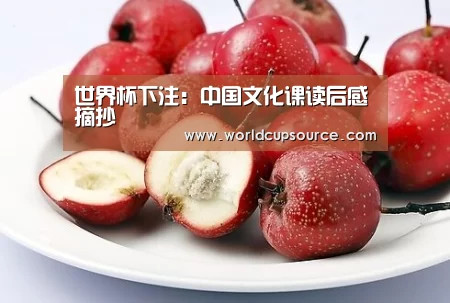 世界杯下注:中国文化课读后感摘抄(图1) 世界杯投注网