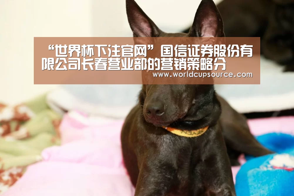 “世界杯下注官网”国信证券股份有限公司长春营业部的营销策略分(图1) 世界杯下注平台