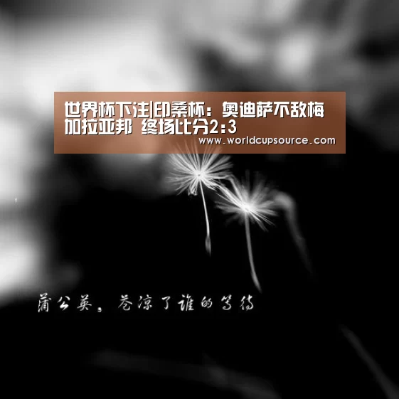 世界杯下注|印桑杯: 奥迪萨不敌梅加拉亚邦 终场比分2:3(图1) 世界杯下注官网